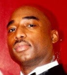 Quintin Stephen